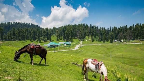 Arrival in Gulmarg: Embrace the Alpine Charm